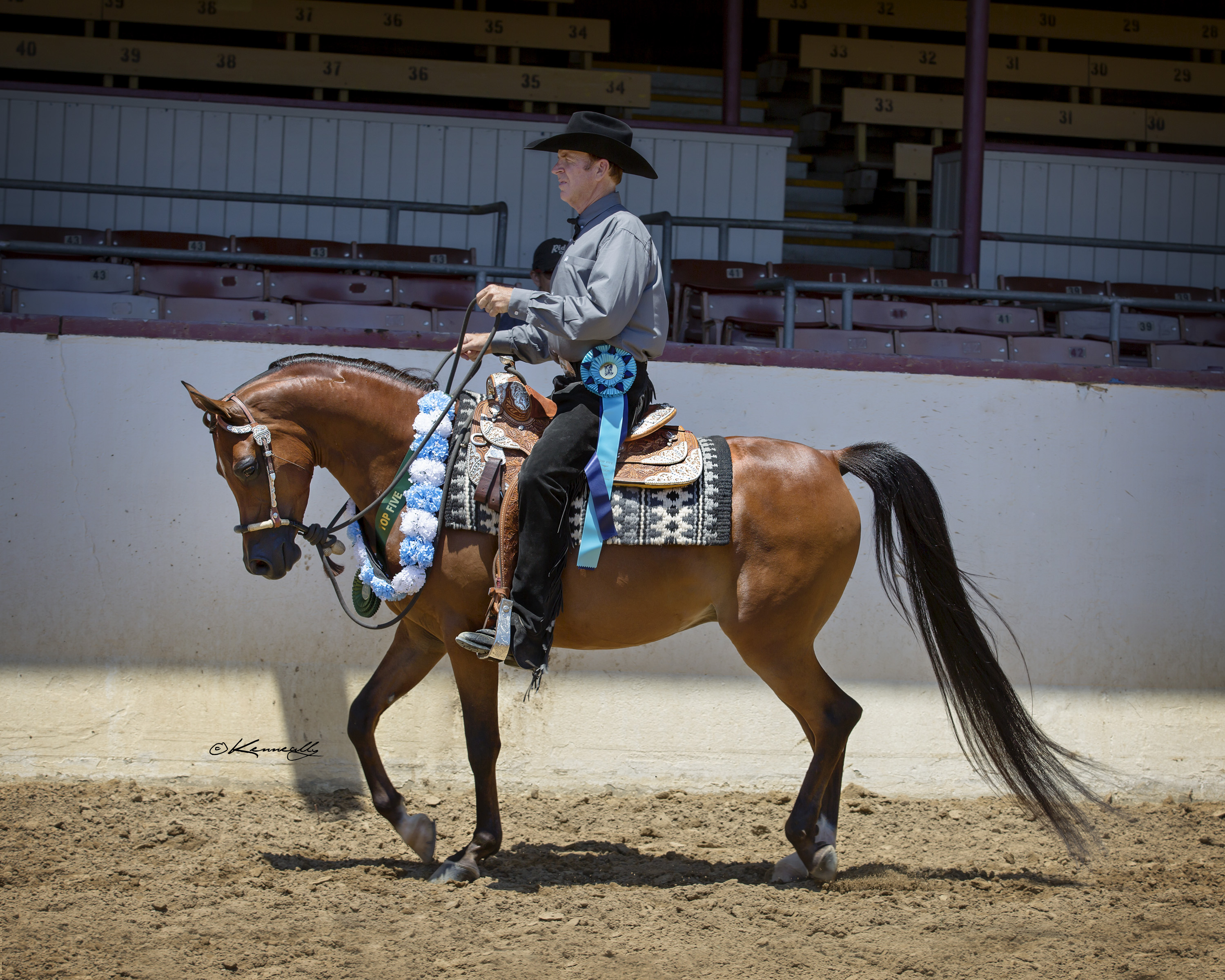 Culbreth Equine